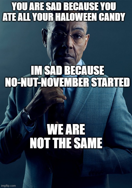 nnn | YOU ARE SAD BECAUSE YOU ATE ALL YOUR HALOWEEN CANDY; IM SAD BECAUSE NO-NUT-NOVEMBER STARTED; WE ARE NOT THE SAME | image tagged in gus fring we are not the same | made w/ Imgflip meme maker