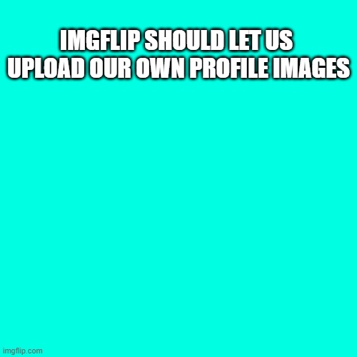 IMGFLIP SHOULD LET US  UPLOAD OUR OWN PROFILE IMAGES | made w/ Imgflip meme maker
