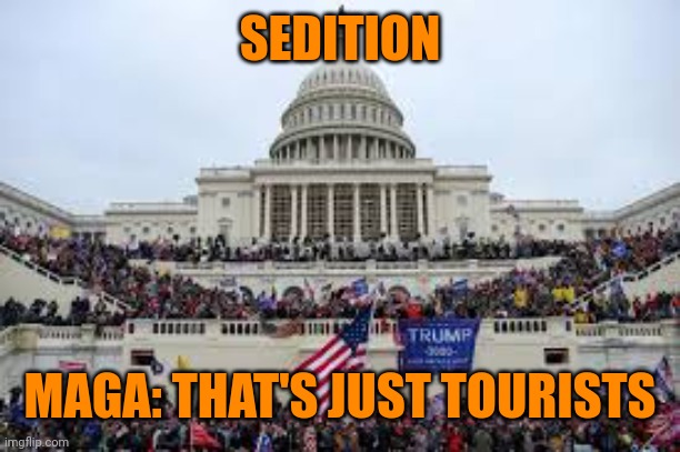 Capitol on January 6 | SEDITION MAGA: THAT'S JUST TOURISTS | image tagged in capitol on january 6 | made w/ Imgflip meme maker