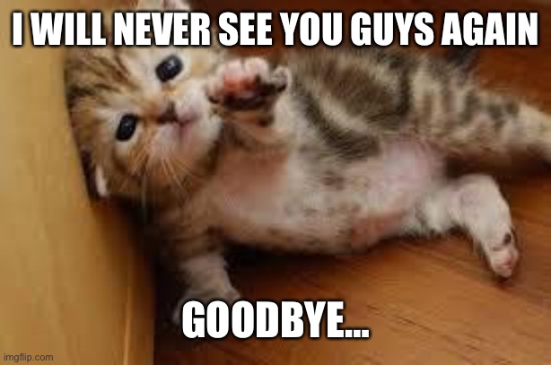 My FINAL goodbye | I WILL NEVER SEE YOU GUYS AGAIN; GOODBYE… | image tagged in sad kitten goodbye | made w/ Imgflip meme maker