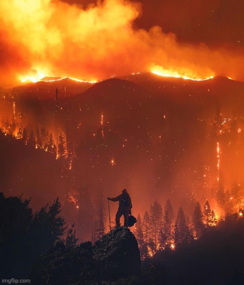 California wildfire | image tagged in california wildfire | made w/ Imgflip meme maker