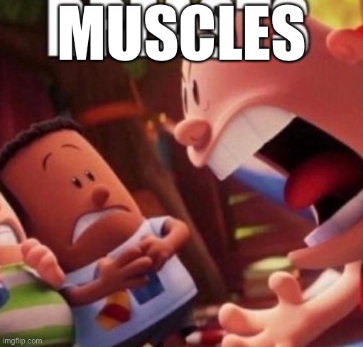 BREASTS | MUSCLES | image tagged in breasts | made w/ Imgflip meme maker