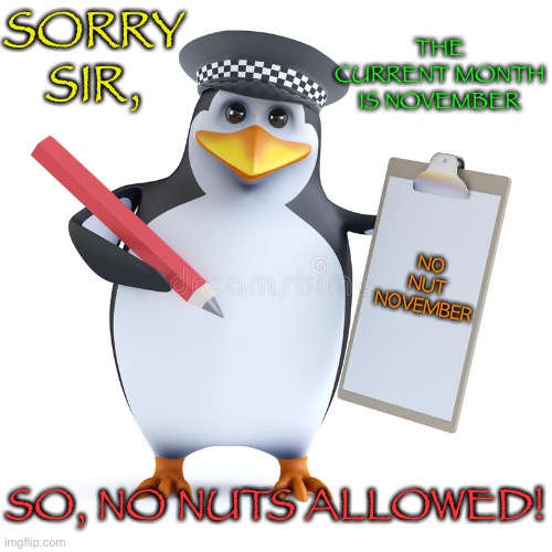No Nut November Penguin | SORRY SIR, THE CURRENT MONTH IS NOVEMBER; NO
NUT
NOVEMBER; SO, NO NUTS ALLOWED! | image tagged in police penguin template,memes,funny,no anime penguin,penguin,no nut november | made w/ Imgflip meme maker