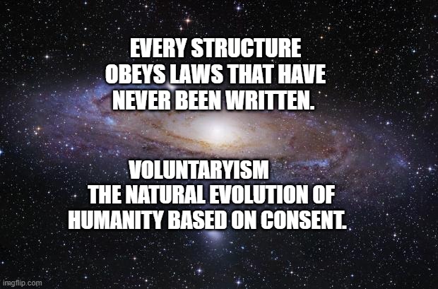 God Religion Universe | EVERY STRUCTURE OBEYS LAWS THAT HAVE NEVER BEEN WRITTEN. VOLUNTARYISM       THE NATURAL EVOLUTION OF HUMANITY BASED ON CONSENT. | image tagged in god religion universe | made w/ Imgflip meme maker