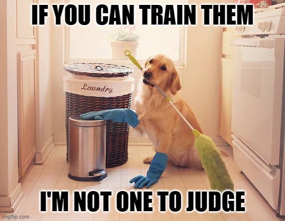 house cleaning | IF YOU CAN TRAIN THEM; I'M NOT ONE TO JUDGE | image tagged in house cleaning | made w/ Imgflip meme maker