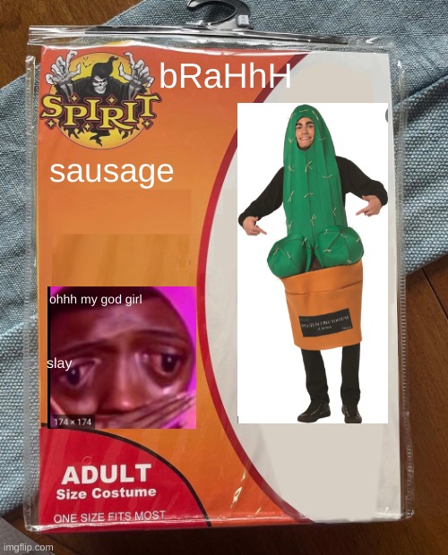 omg a RoAch| dont he slay doh? | bRaHhH; sausage; ohhh my god girl; slay | image tagged in spirit halloween | made w/ Imgflip meme maker