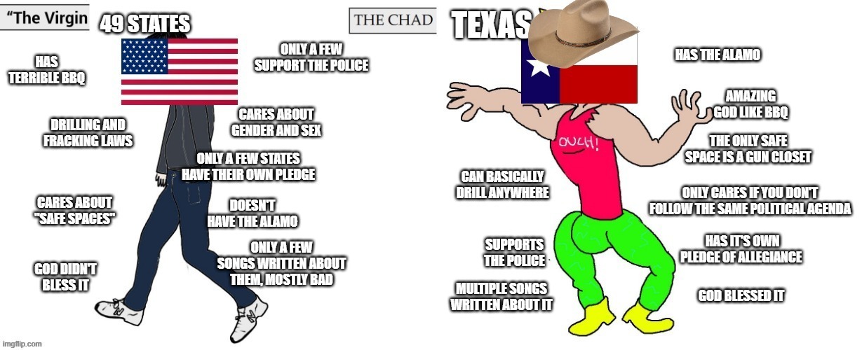 Texas > The other 49 states | ONLY A FEW SONGS WRITTEN ABOUT THEM, MOSTLY BAD; MULTIPLE SONGS WRITTEN ABOUT IT | image tagged in texas,virgin vs chad,wojak | made w/ Imgflip meme maker