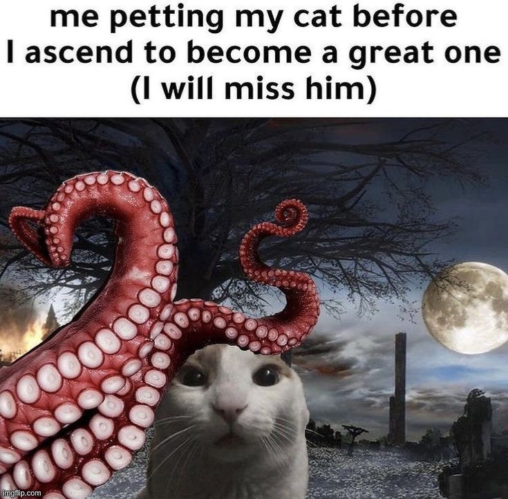 image tagged in dark humor | made w/ Imgflip meme maker