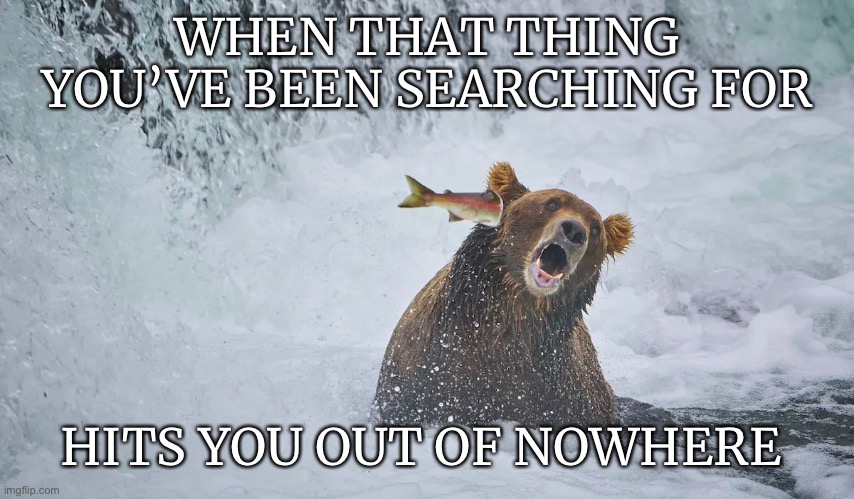 When it hits you… |  WHEN THAT THING YOU’VE BEEN SEARCHING FOR; HITS YOU OUT OF NOWHERE | image tagged in funny,animals,awesome,wildlife | made w/ Imgflip meme maker