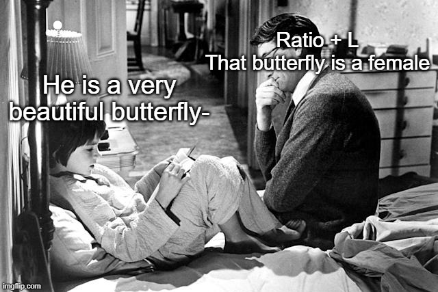 He is a very beautiful butterfly- Ratio + L
That butterfly is a female | made w/ Imgflip meme maker