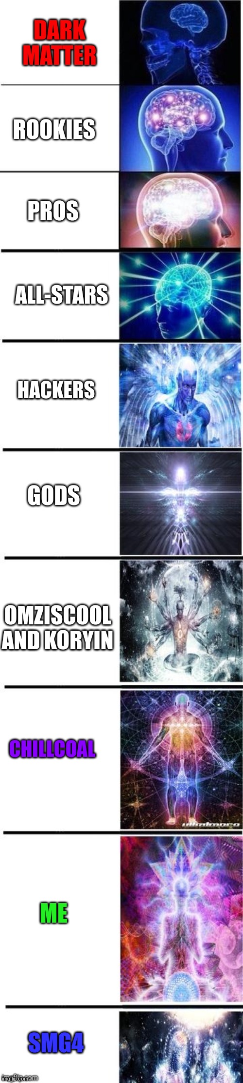 pros from 1 to 10 | DARK MATTER; ROOKIES; PROS; ALL-STARS; HACKERS; GODS; OMZISCOOL AND KORYIN; CHILLCOAL; ME; SMG4 | image tagged in expanding brain 10 panel | made w/ Imgflip meme maker