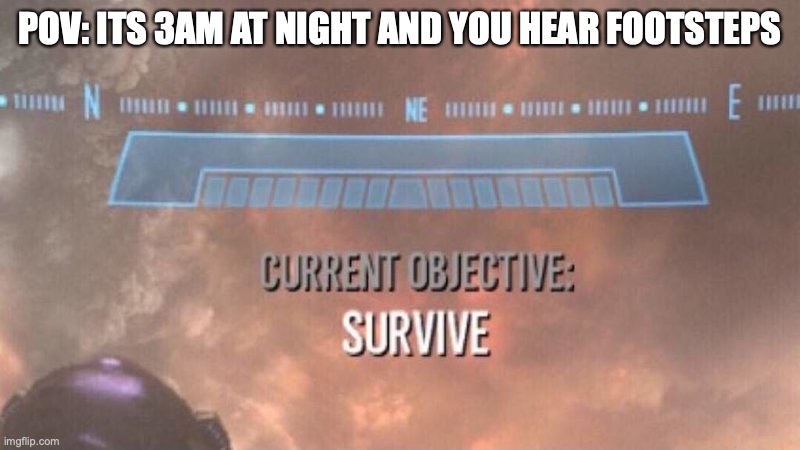 This is me everyday XD | POV: ITS 3AM AT NIGHT AND YOU HEAR FOOTSTEPS | image tagged in current objective survive | made w/ Imgflip meme maker