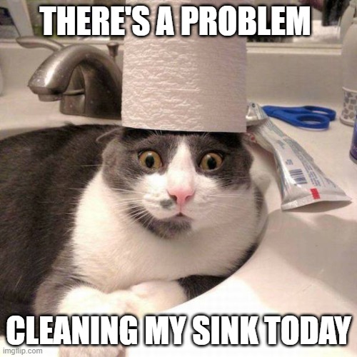 cats in the sink | THERE'S A PROBLEM; CLEANING MY SINK TODAY | image tagged in cats in the sink | made w/ Imgflip meme maker