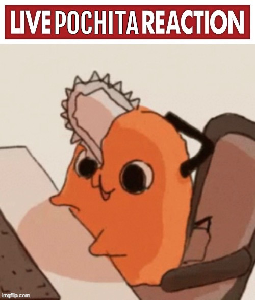 Live Pochita reaction | image tagged in live pochita reaction | made w/ Imgflip meme maker