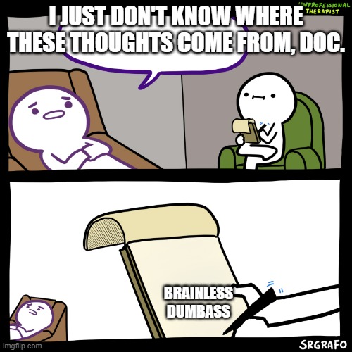 Unprofessional therapist | I JUST DON'T KNOW WHERE THESE THOUGHTS COME FROM, DOC. BRAINLESS DUMBASS | image tagged in unprofessional therapist | made w/ Imgflip meme maker