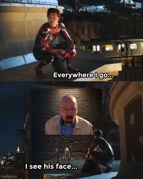 Everywhere I go I see his face | image tagged in everywhere i go i see his face,walter white | made w/ Imgflip meme maker