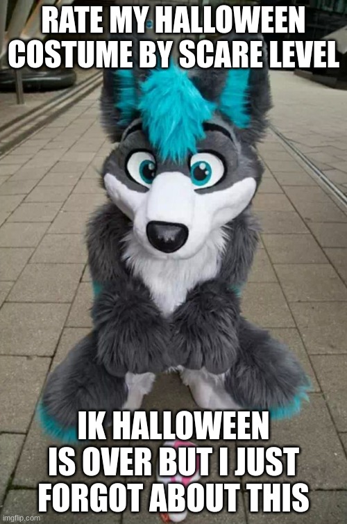 0 to 10 btw | RATE MY HALLOWEEN COSTUME BY SCARE LEVEL; IK HALLOWEEN IS OVER BUT I JUST FORGOT ABOUT THIS | image tagged in furry | made w/ Imgflip meme maker
