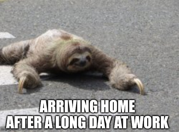 Sloth crosses street | ARRIVING HOME AFTER A LONG DAY AT WORK | image tagged in sloth crosses street | made w/ Imgflip meme maker