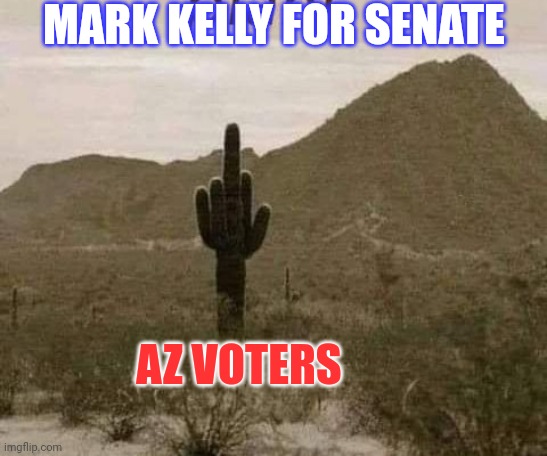 Arizona Voters (Saguaros Included) Reject Mark Kelly | MARK KELLY FOR SENATE; AZ VOTERS | image tagged in arizona,voters,cacti,rejected,democrats,liberals | made w/ Imgflip meme maker