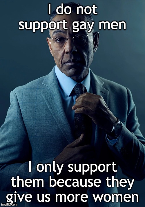 mhm | I do not support gay men; I only support them because they give us more women | image tagged in we are not the same | made w/ Imgflip meme maker