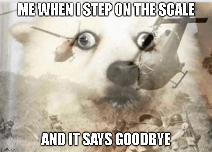 PTSD dog | ME WHEN I STEP ON THE SCALE; AND IT SAYS GOODBYE | image tagged in ptsd dog | made w/ Imgflip meme maker