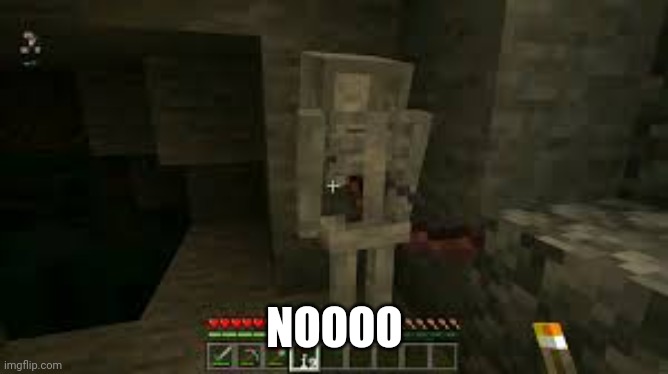 sad skeleton | NOOOO | image tagged in sad skeleton | made w/ Imgflip meme maker