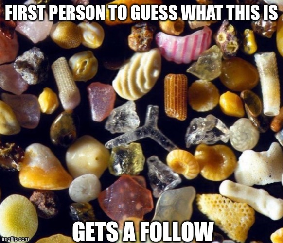 It looks like candy, doesn’t it | FIRST PERSON TO GUESS WHAT THIS IS; GETS A FOLLOW | image tagged in why hello there,these are called tags,in case you did not know,why are you reading the tags,were you looking for answers,-_- | made w/ Imgflip meme maker
