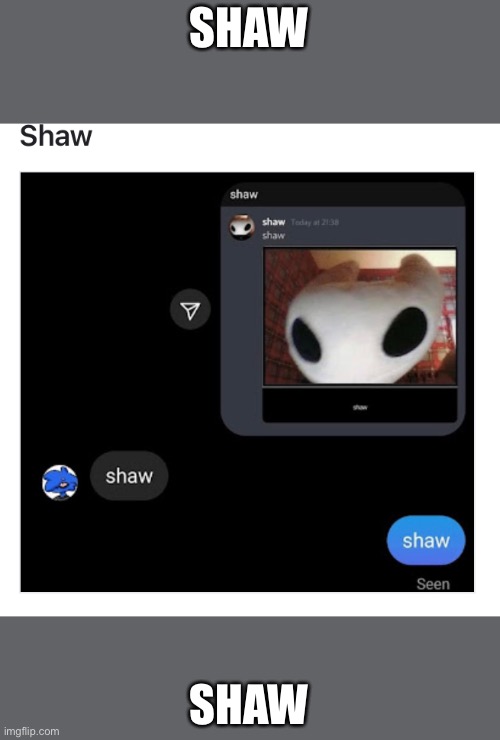 Shaw | SHAW; SHAW | image tagged in hollow knight | made w/ Imgflip meme maker