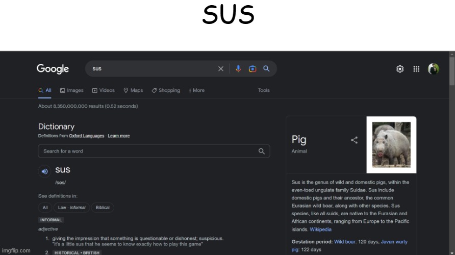 Sus | SUS | image tagged in sus | made w/ Imgflip meme maker