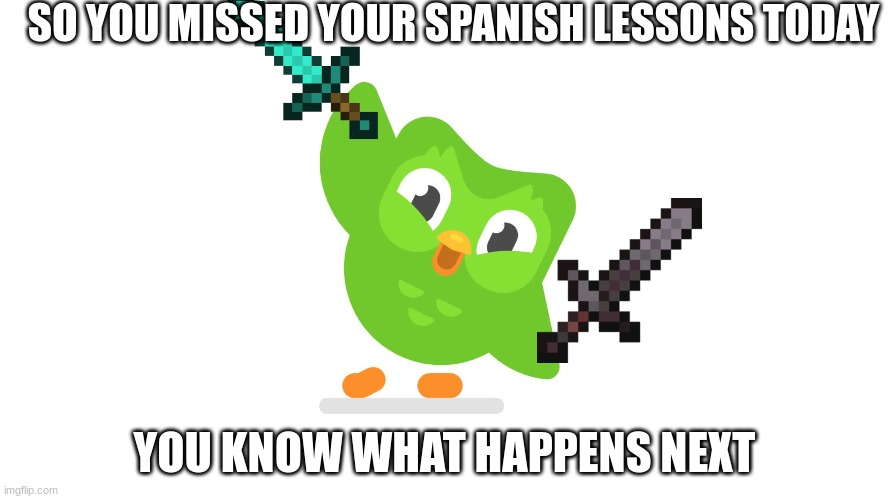 Uh Who Knocked On My Door | SO YOU MISSED YOUR SPANISH LESSONS TODAY; YOU KNOW WHAT HAPPENS NEXT | image tagged in doulingo,spanish lesson,run,oh no | made w/ Imgflip meme maker