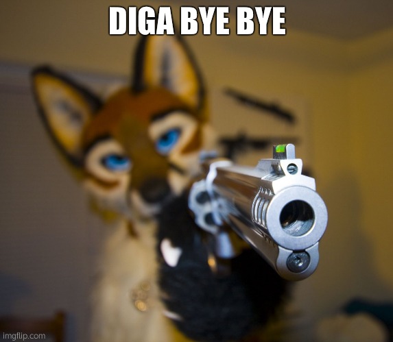 Furry with gun | DIGA BYE BYE | image tagged in furry with gun | made w/ Imgflip meme maker