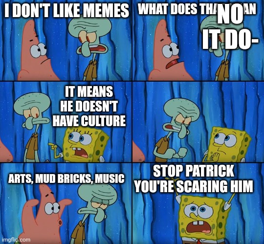 Is mud bricks culture? | NO IT DO-; I DON'T LIKE MEMES; WHAT DOES THAT MEAN; IT MEANS HE DOESN'T HAVE CULTURE; STOP PATRICK YOU'RE SCARING HIM; ARTS, MUD BRICKS, MUSIC | image tagged in stop it patrick you're scaring him,memes | made w/ Imgflip meme maker