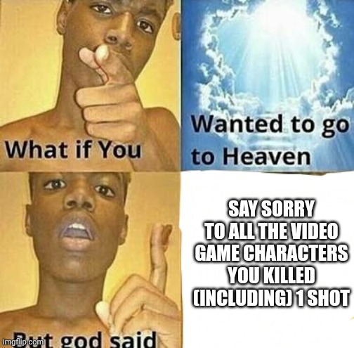 Great | SAY SORRY TO ALL THE VIDEO GAME CHARACTERS YOU KILLED (INCLUDING) 1 SHOT | image tagged in what if you wanted to go to heaven | made w/ Imgflip meme maker