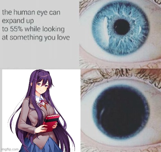 It’d be as big as Jupiter, if only eyes could that… | image tagged in eye pupil expand,ddlc,yuri,funny,love | made w/ Imgflip meme maker