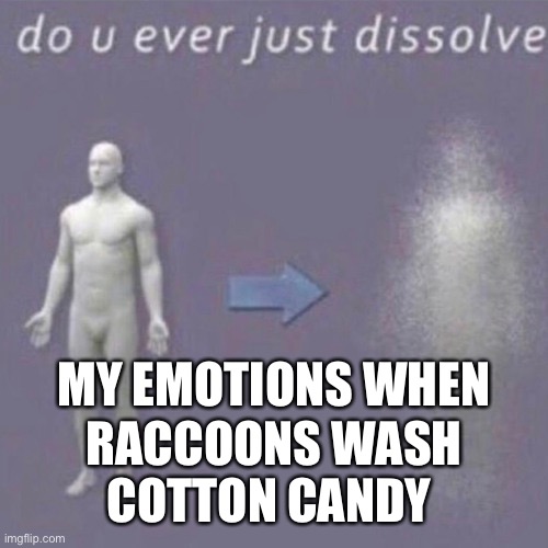 Dissolving | MY EMOTIONS WHEN RACCOONS WASH COTTON CANDY | image tagged in dissolving | made w/ Imgflip meme maker