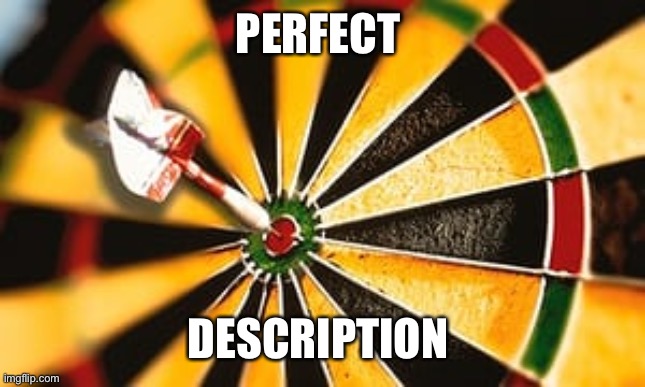 bullseye | PERFECT DESCRIPTION | image tagged in bullseye | made w/ Imgflip meme maker
