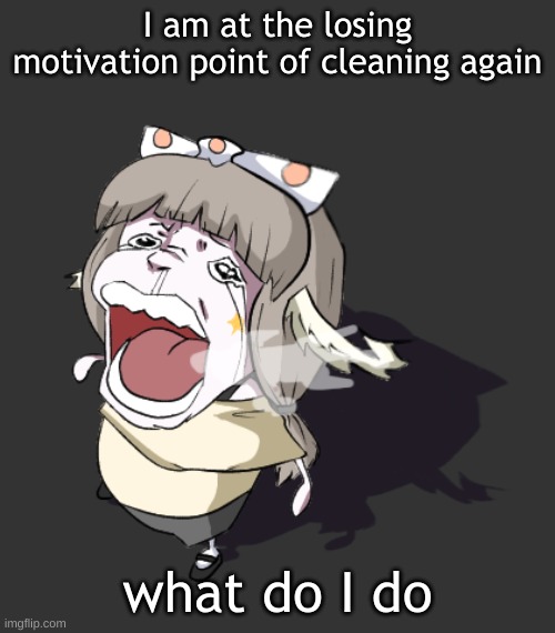 Quandria crying | I am at the losing motivation point of cleaning again; what do I do | image tagged in quandria crying | made w/ Imgflip meme maker