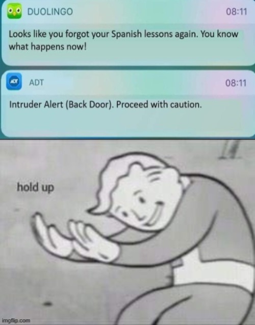 ayo hold up | image tagged in funny,duolingo,wtf,hold up | made w/ Imgflip meme maker