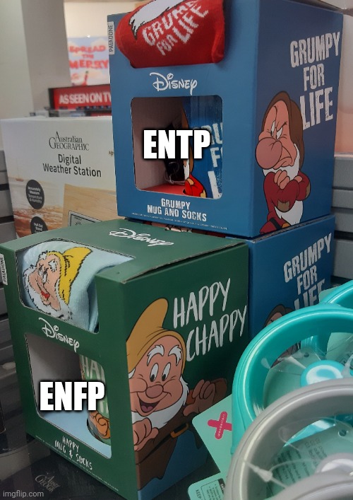 If you're confused between the two... | ENTP; ENFP | image tagged in mbti,myers briggs,enfp,entp,personality,grumpy | made w/ Imgflip meme maker