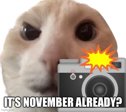 What happened to this year? | IT’S NOVEMBER ALREADY? | image tagged in caught in 4k | made w/ Imgflip meme maker