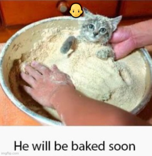 He will be baked soon | 👩‍🦲 | image tagged in he will be baked soon | made w/ Imgflip meme maker