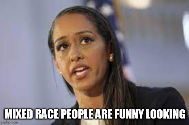 MIXED RACE PEOPLE ARE FUNNY LOOKING | made w/ Imgflip meme maker