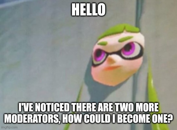 Just wondering, I know mod begging is annoying but I promise I won't ask again | HELLO; I'VE NOTICED THERE ARE TWO MORE MODERATORS, HOW COULD I BECOME ONE? | image tagged in woomy in the wall glitch splatoon | made w/ Imgflip meme maker