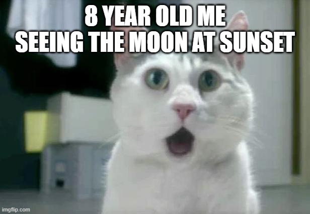 OMG THE MOON | 8 YEAR OLD ME SEEING THE MOON AT SUNSET | image tagged in memes,omg cat | made w/ Imgflip meme maker