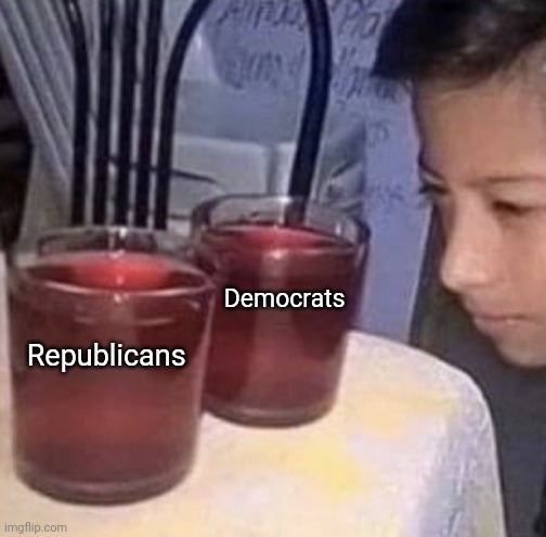 vote accordingly | Democrats; Republicans | image tagged in same thing | made w/ Imgflip meme maker