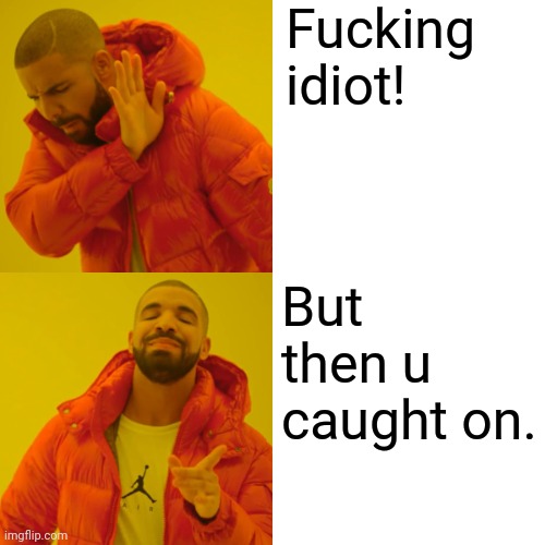 Drake Hotline Bling Meme | Fucking 
idiot! But then u caught on. | image tagged in memes,drake hotline bling | made w/ Imgflip meme maker