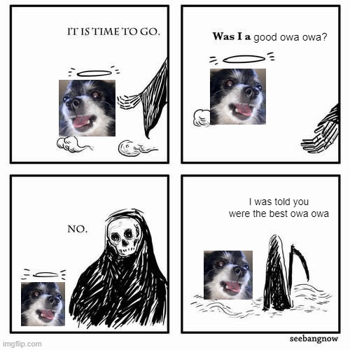 R.I.P Pudgywoke (2009-2021) |  good owa owa? I was told you were the best owa owa | image tagged in it is time to go,dog,sad,meme | made w/ Imgflip meme maker