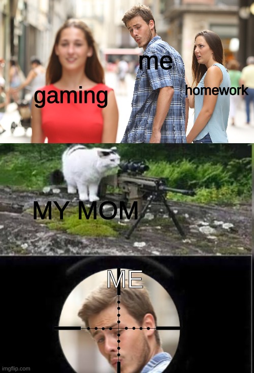 Cat Snipes Distracted Boyfriend | me; gaming; homework; MY MOM; ME | image tagged in cat snipes distracted boyfriend | made w/ Imgflip meme maker