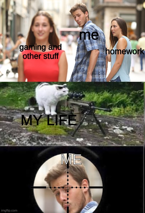 life | me; gaming and other stuff; homework; MY LIFE; ME | image tagged in cat snipes distracted boyfriend | made w/ Imgflip meme maker