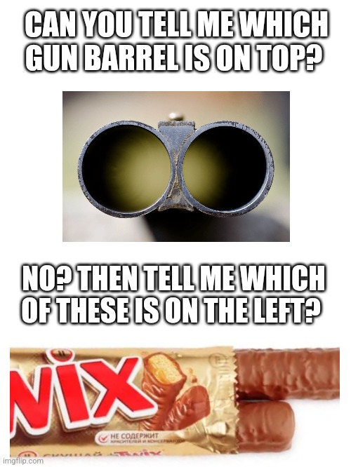 Up, Down, Left, Right | CAN YOU TELL ME WHICH GUN BARREL IS ON TOP? NO? THEN TELL ME WHICH OF THESE IS ON THE LEFT? | image tagged in idiots,stupid sheep | made w/ Imgflip meme maker